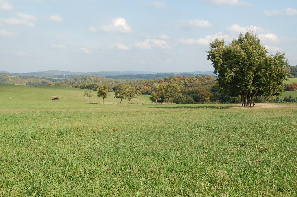 Landgasthaus Pfahl Wershofen Εξωτερικό φωτογραφία