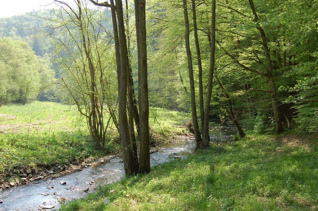 Landgasthaus Pfahl Wershofen Εξωτερικό φωτογραφία